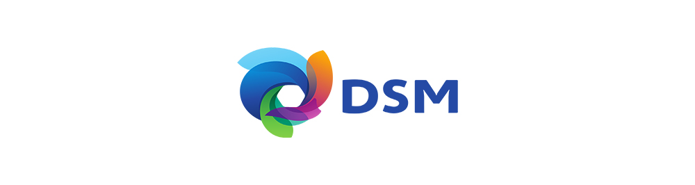 DSM aandelen review